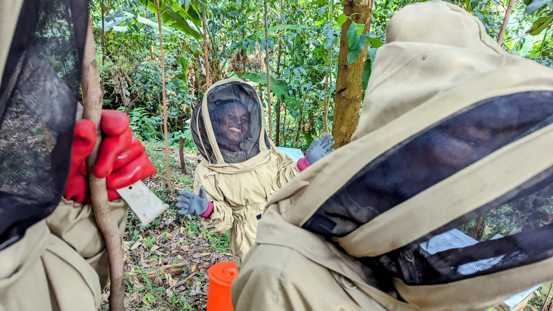 Celebrating World Bee Day: The Vital Role of Bees, Beekeeping & Beeswa ...