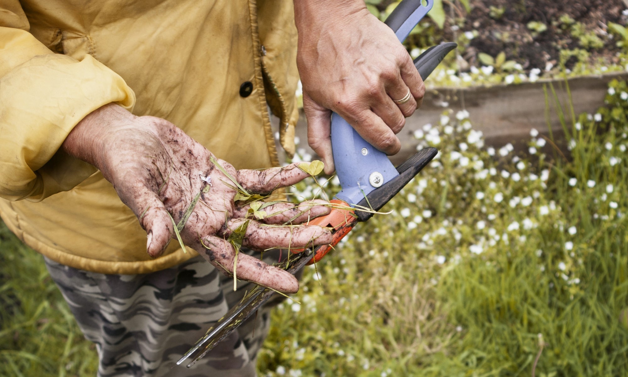 How Do You Wash Gardeners’ Hands?