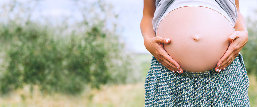 Is Rosehip Safe In Pregnancy?