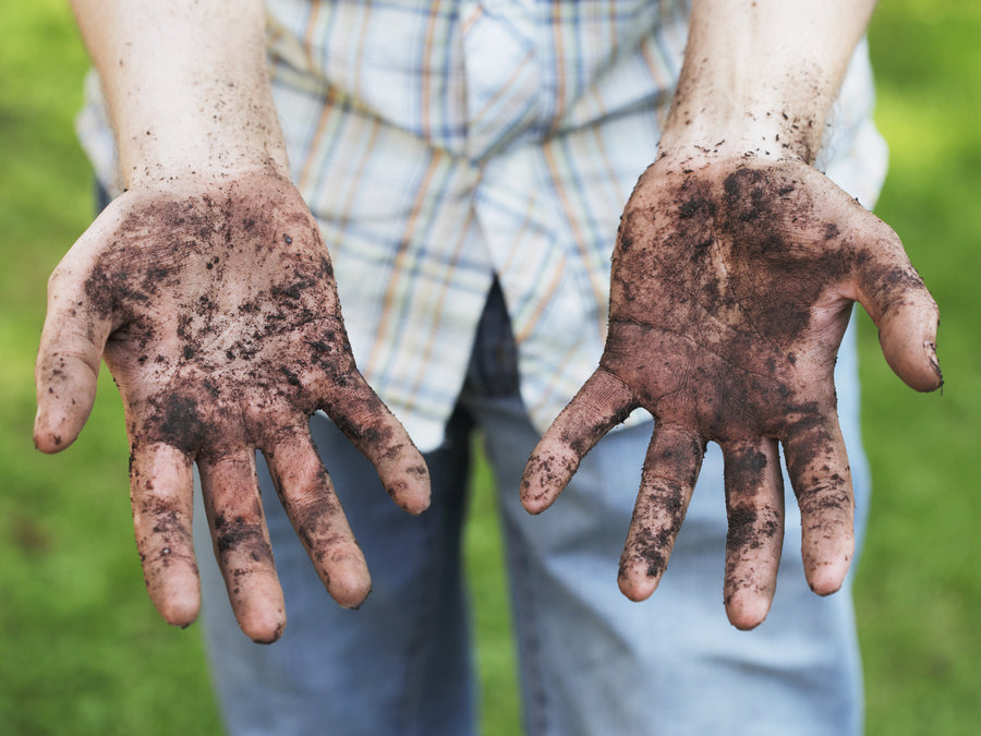 What Can I Soak My Hands In To Remove Dirt?