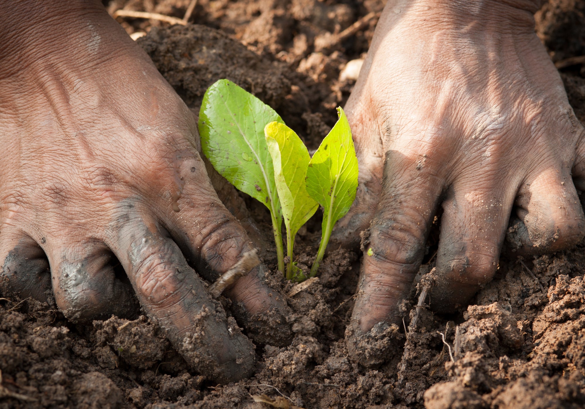 Why Does Dirt Dry Out Your Hands?