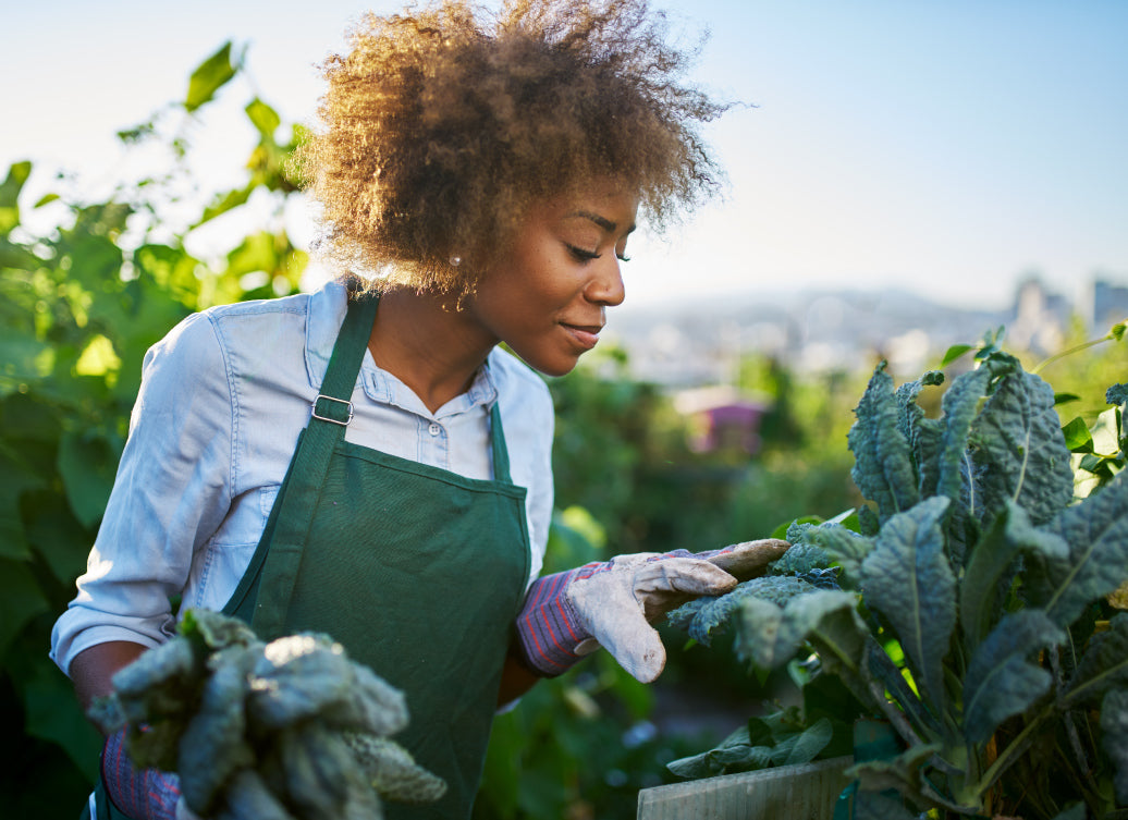 a gardener tending crops in a field on a clear day