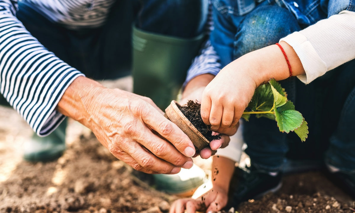 Gardening: Good for the Soul, the Body and the Glutes!