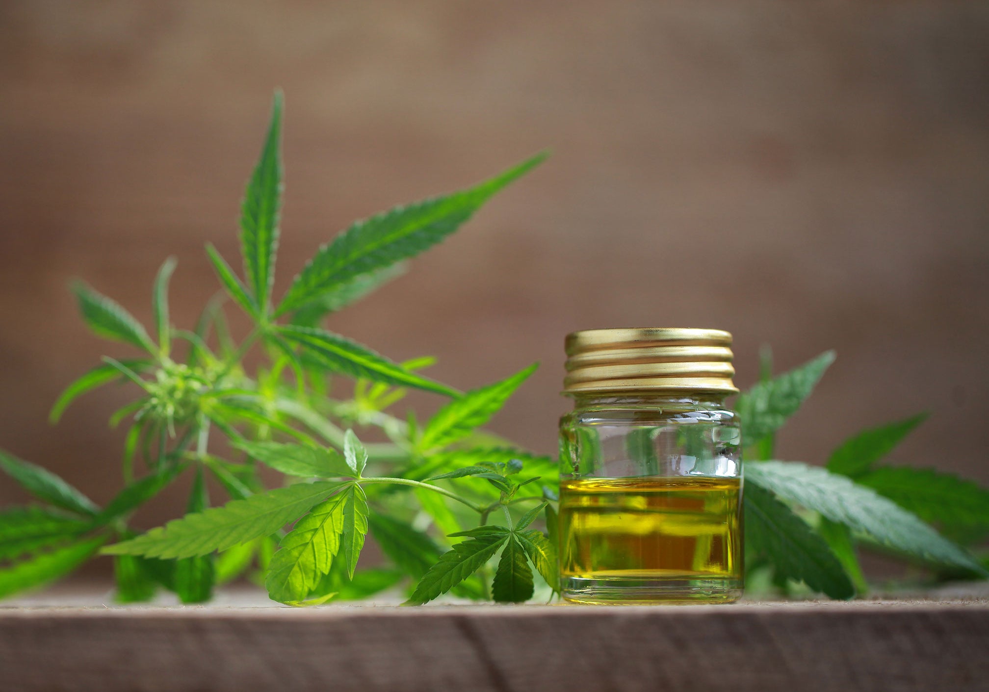How Can Hemp Oil Help Eczema?